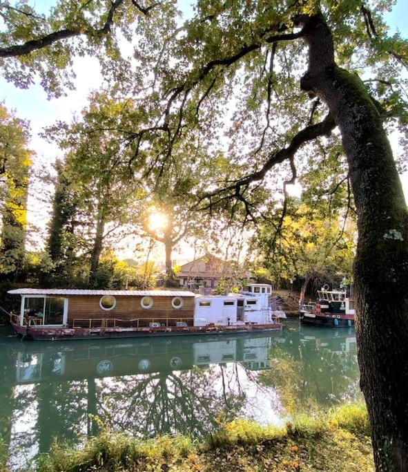 Insolite Peniche Amazonie Canal Du Midi Gardouch Exterior foto